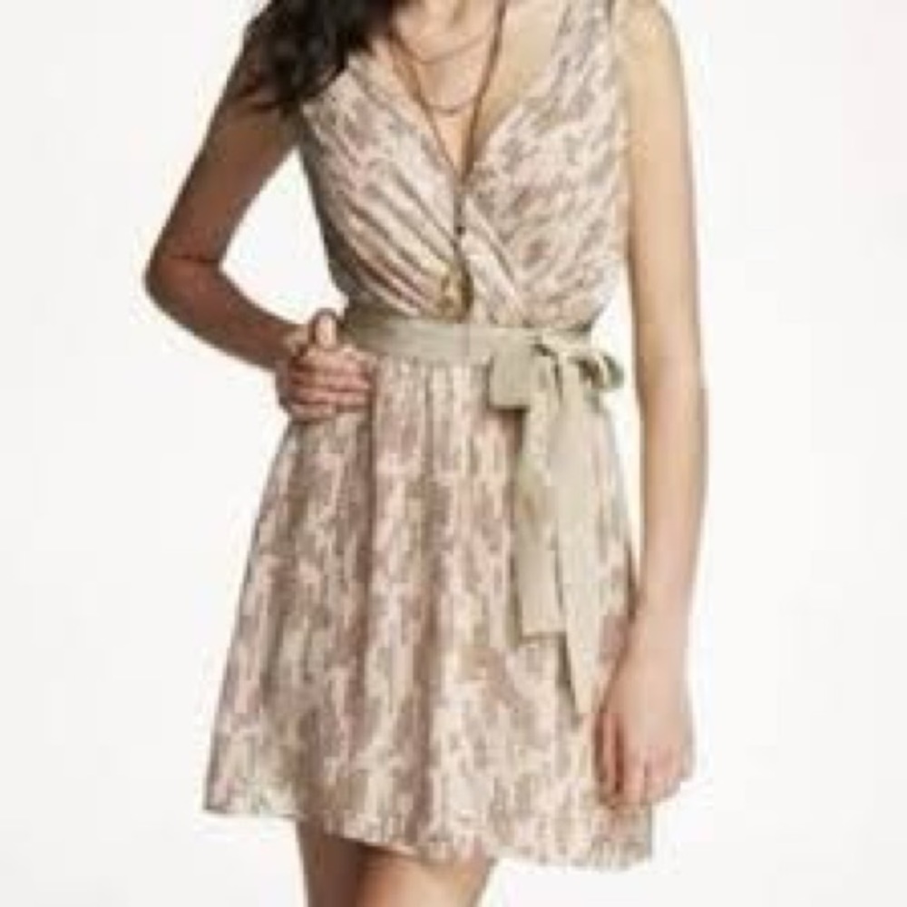 Express holiday cocktail evening party dress